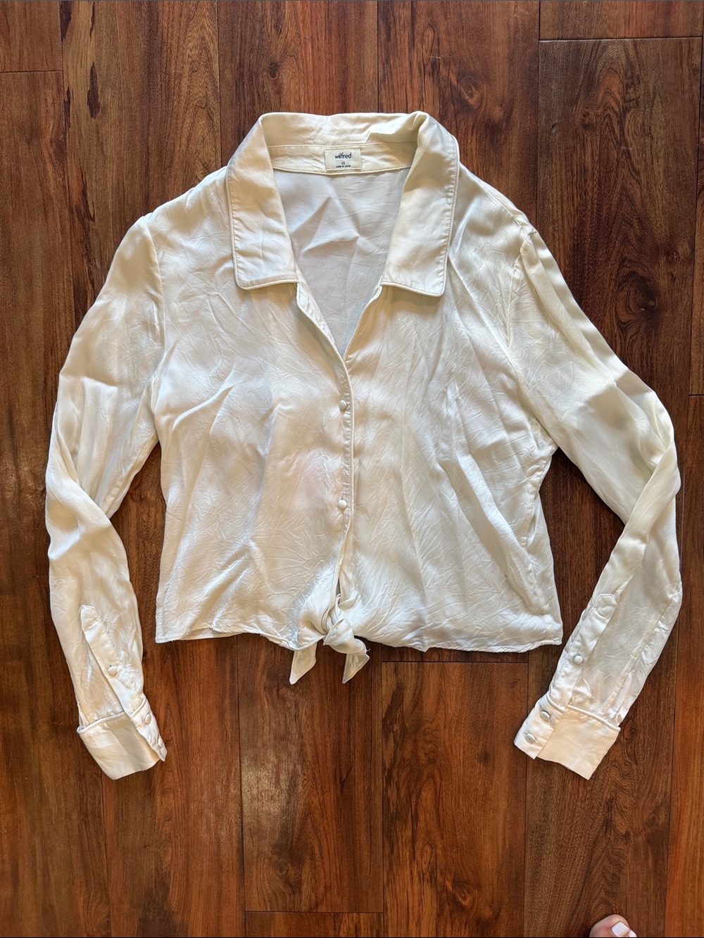 Aritzia - Wilfred silk top